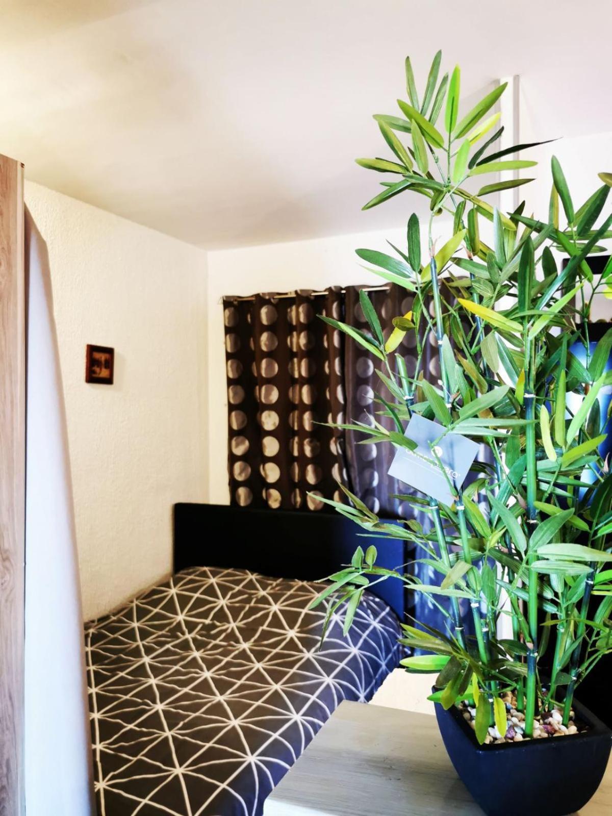 Studio Vue Sur Mer Conca Exterior photo