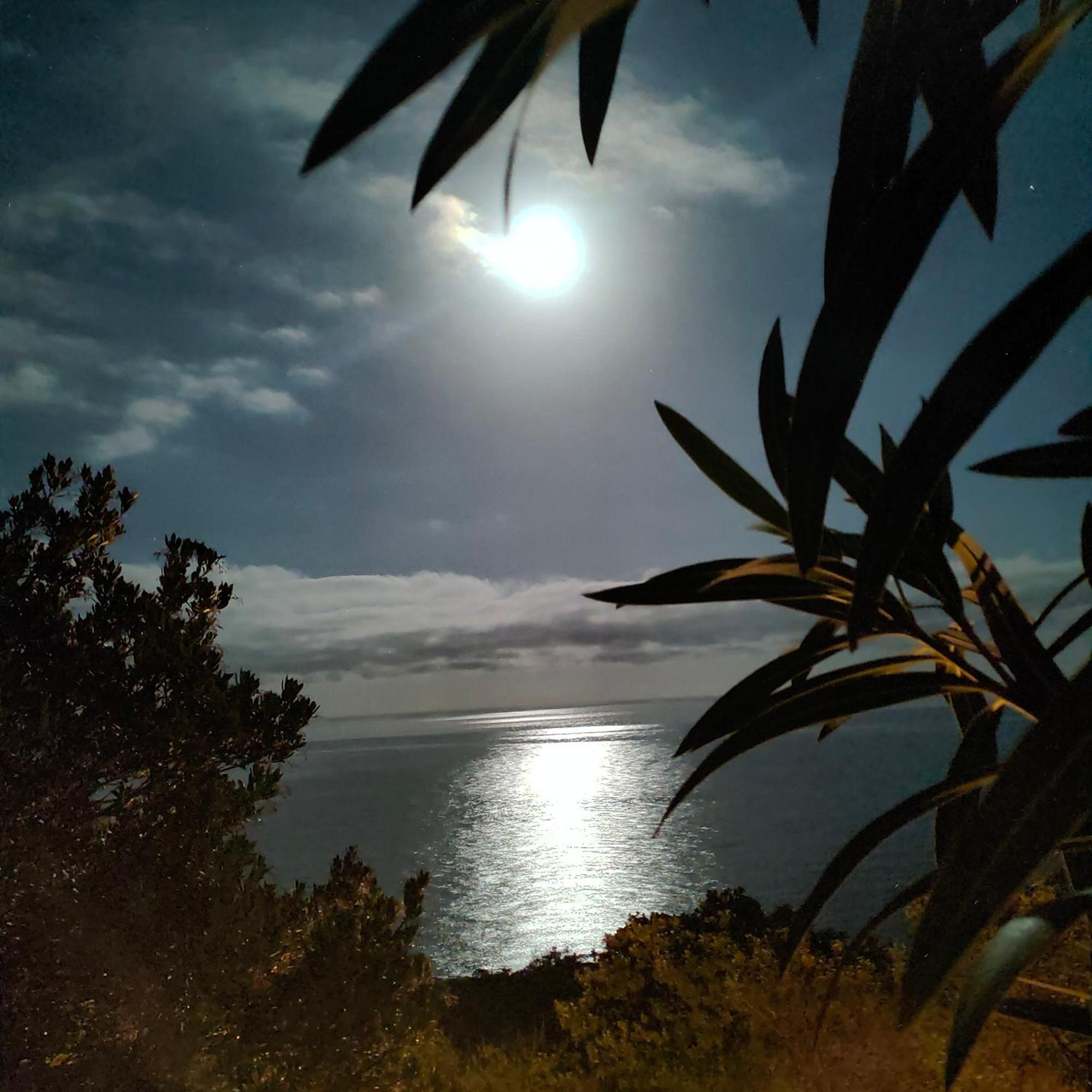 Studio Vue Sur Mer Conca Exterior photo