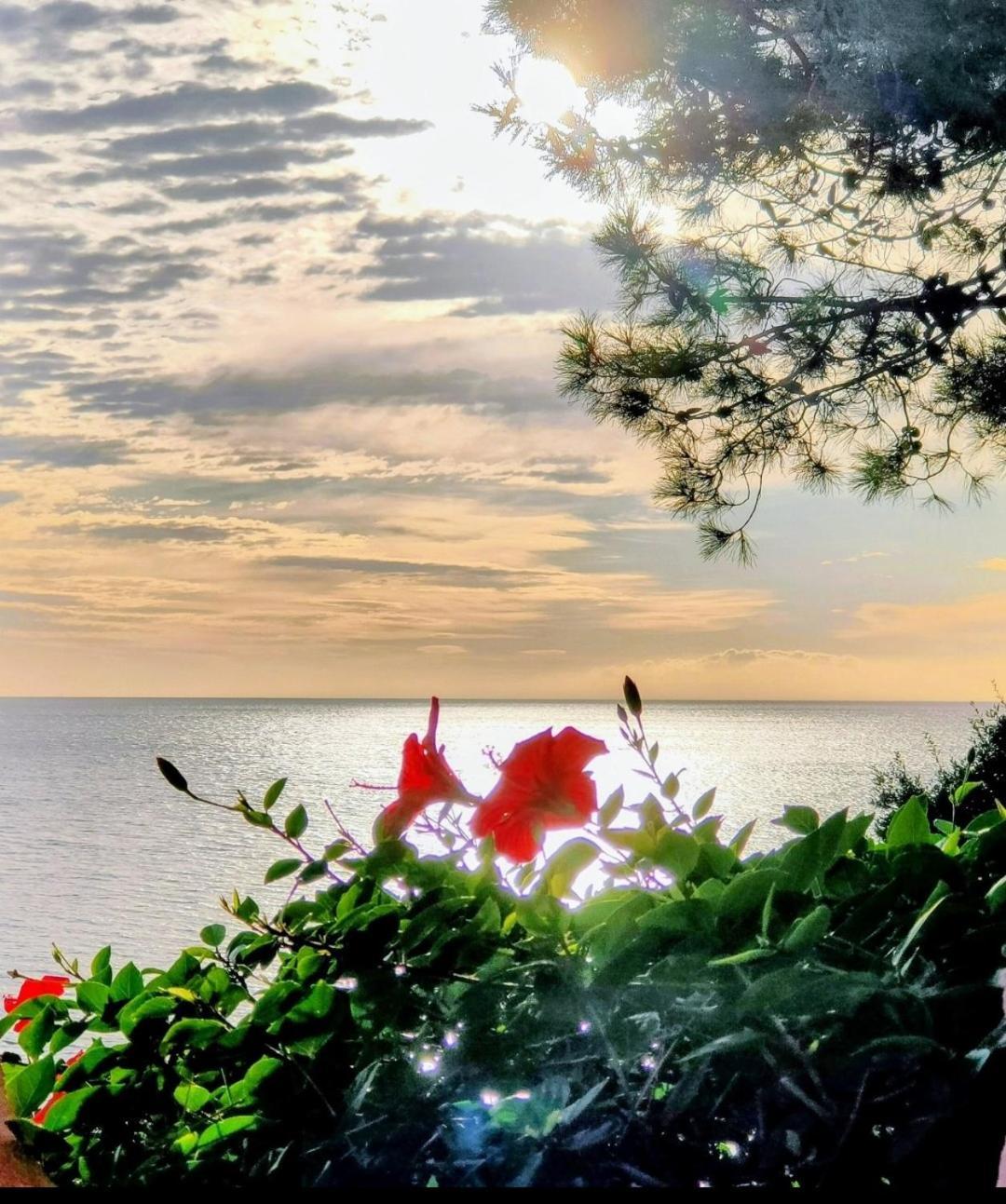 Studio Vue Sur Mer Conca Exterior photo